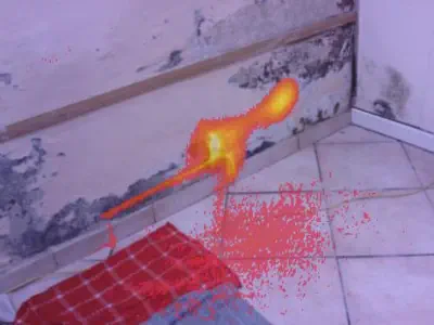 Visualizzazione termografica di una macchia di umidità e muffa su parete interna